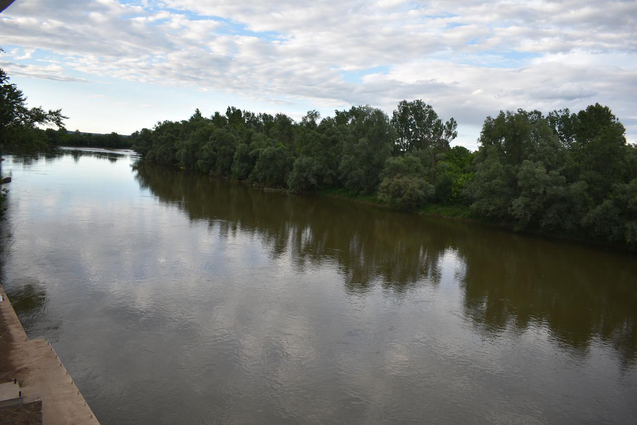 Vila Edu Koncarevo Экстерьер фото